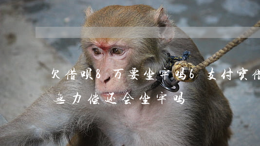 欠借呗8万要坐牢吗6(支付宝借呗欠了8万无力偿还会坐牢吗)