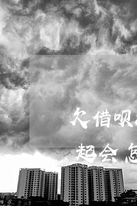 欠借呗8万还不起了怎么办(欠借呗8万还不起会怎么样)
