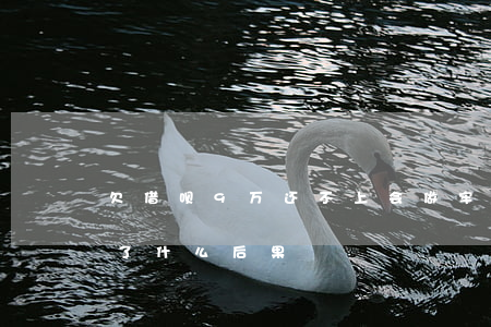 欠借呗9万还不上会做牢吗(借呗9万还不起了什么后果)