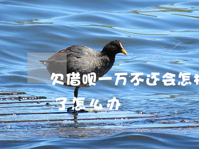 欠借呗一万不还会怎样(借呗借了一万多还不了怎么办)
