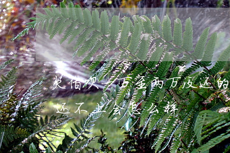 欠借呗一万至两万没还的结果(借呗欠一万多还不上会怎么样)