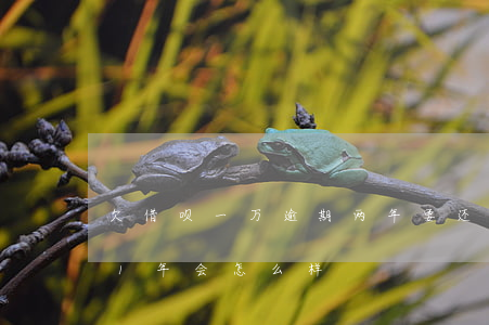 欠借呗一万逾期两年要还多少(借呗2万逾期1年会怎么样)