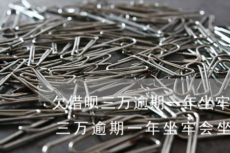 欠借呗三万逾期一年坐牢会坐几年-欠借呗三万逾期一年坐牢会坐几年呢