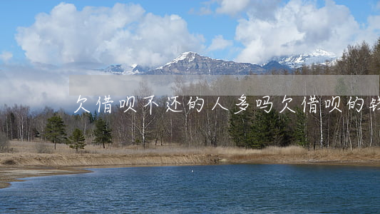 欠借呗不还的人多吗(欠借呗的钱不还行吗)