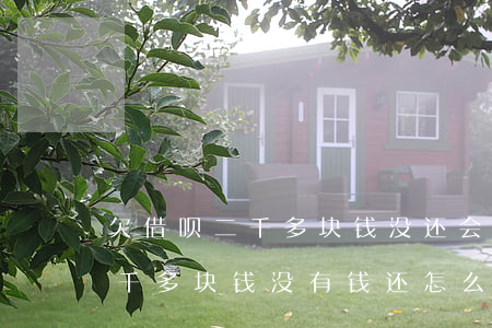 欠借呗二千多块钱没还会怎么样(借呗逾期两千多块钱 没有钱还怎么办?)