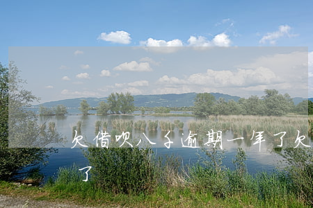 欠借呗八千逾期一年了(欠借呗八千逾期一年了)