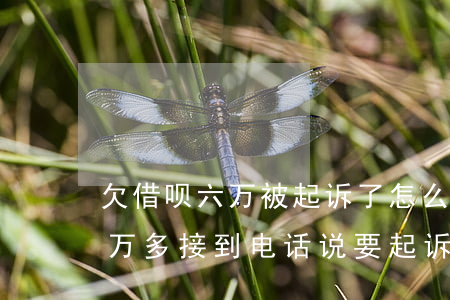 欠借呗六万被起诉了怎么办(花呗借呗欠款六万多,接到电话说要起诉我是真的吗?)