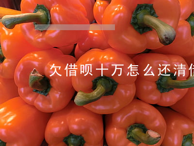 欠借呗十万怎么还清(借呗借了十万还不起了)