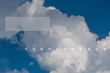 欠借呗影响考驾照吗(欠债可以考驾照吗)