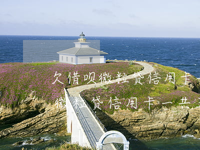 欠借呗微粒贷信用卡一共五十多万-欠借呗微粒贷信用卡一共五十多万怎么办