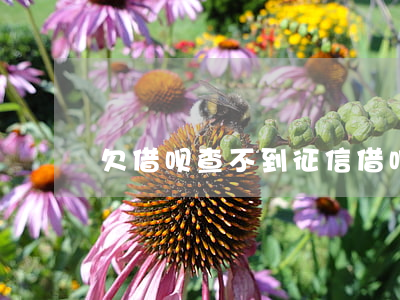 欠借呗查不到征信(借呗借款查不查征信)