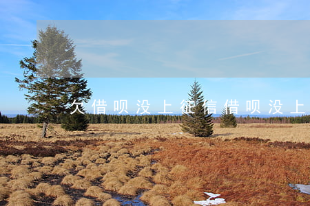 欠借呗没上征信(借呗没上征信怎么回事)