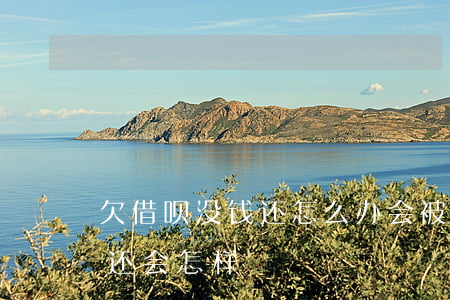 欠借呗没钱还怎么办会被坐牢吗(欠借呗没钱还会怎样?)