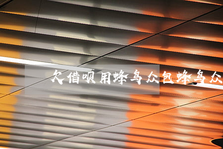 欠借呗用蜂鸟众包(蜂鸟众包里面的贷款)