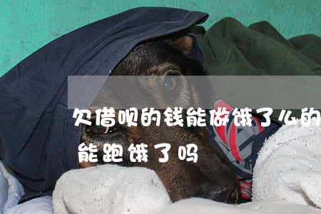 欠借呗的钱能做饿了么的骑手吗-借呗逾期能跑饿了吗