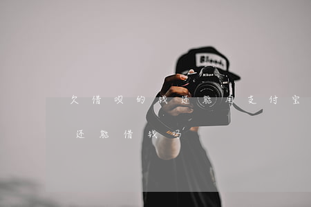 欠借呗的钱还能用支付宝吗(支付宝花呗欠款还能借钱吗)