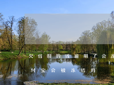 欠借呗的钱逾期了 会冻结房子吗(借呗逾期支付宝会被冻结吗)