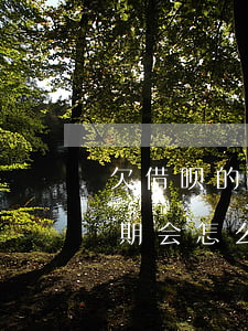 欠借呗的钱逾期了会怎样(支付宝借呗欠钱逾期会怎么样)