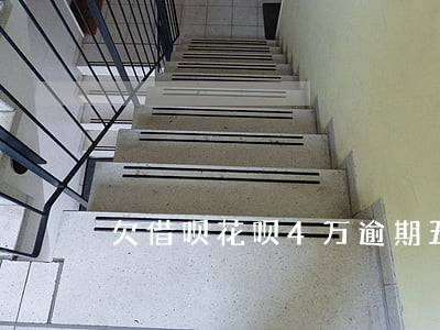 欠借呗花呗4万逾期五个月