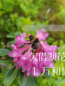 欠借呗花呗一万多支付宝会起诉吗-欠花呗1万和借呗1万被诉讼会不会坐牢