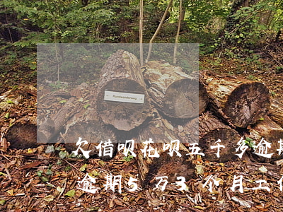 欠借呗花呗五千多逾期了说要家访(借呗花呗逾期5万3个月,工作人员要求上门拜访,是真的吗)