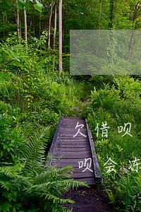 欠借呗花呗会冻结银行储蓄卡吗-欠借呗花呗会冻结银行储蓄卡吗安全吗