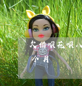 欠借呗花呗八千逾期二个月(借呗八千逾期一个月)