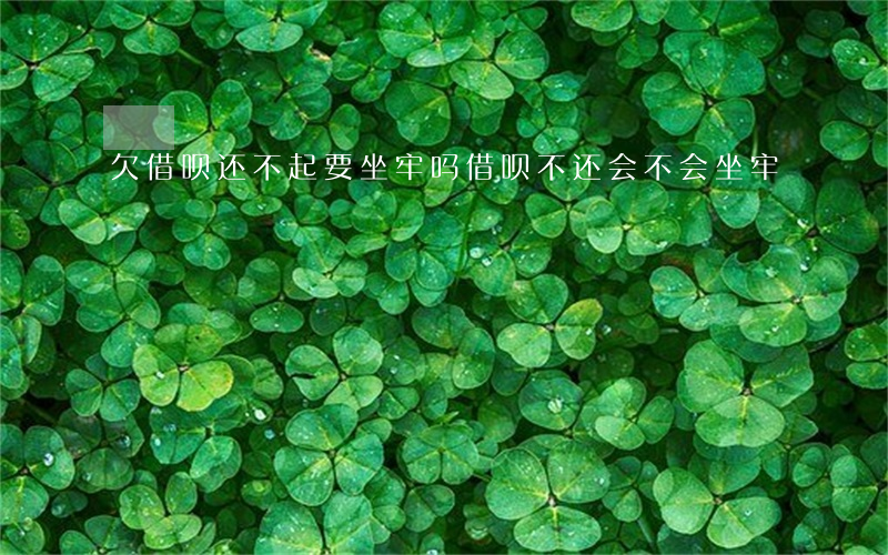 欠借呗还不起要坐牢吗(借呗不还会不会坐牢)