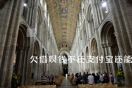 欠借呗钱不还支付宝还能不能用