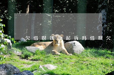 欠借呗钱会起诉吗(借呗欠钱会被起诉吗?)