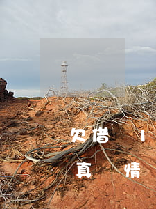 欠借唄10元會怎么樣(借唄欠了10萬沒還真實情況)