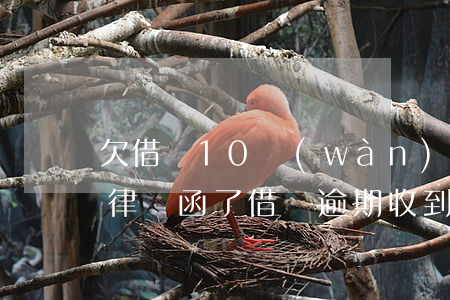 欠借唄10萬(wàn)通知我發(fā)律師函了(借唄逾期收到律師函)