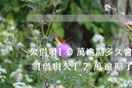 欠借唄10萬逾期多久會(huì)坐牢(花唄借唄欠12萬逾期了被起訴會(huì)坐牢嗎)