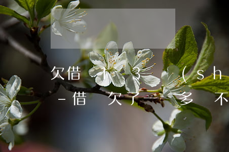 欠借唄1萬3暫時(shí)還不起怎么辦-借唄欠了一萬多還不起了怎么辦