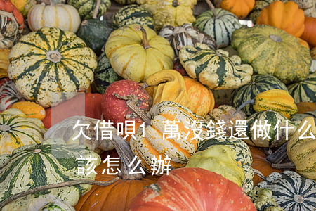 欠借唄1萬沒錢還做什么工作(借唄欠一萬多該怎么辦)