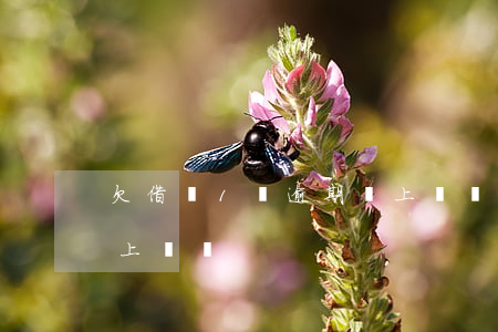 欠借唄1萬逾期會上門嗎(欠借唄1萬逾期會上門嗎)