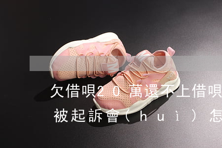 欠借唄20萬還不上(借唄欠款20萬還不了被起訴會(huì)怎樣)