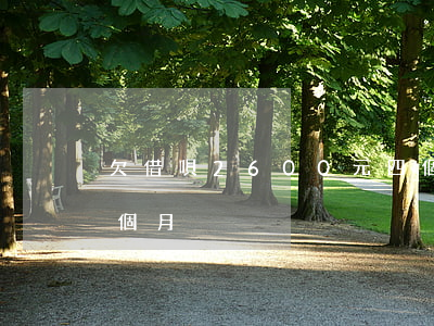 欠借唄2600元四個月(借唄5000借6個月)