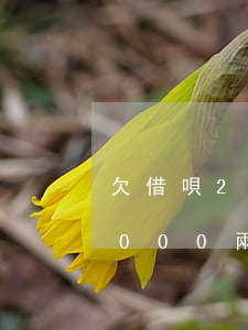 欠借唄2個月未還說要上門(支付寶借唄欠4000兩年沒還說要上門)