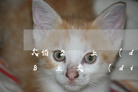 欠借唄2萬說上門調(diào)查(借唄欠8萬上門走訪調(diào)查取證)
