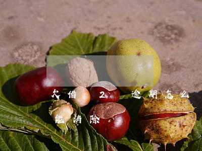 欠借唄2萬逾期怎么辦(借唄欠兩千逾期多久能消除)