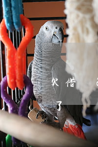 欠借唄2萬還不上會怎樣(借唄欠款2萬還不了)