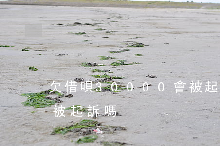 欠借唄30000會被起訴嗎(欠借唄逾期會被起訴嗎)