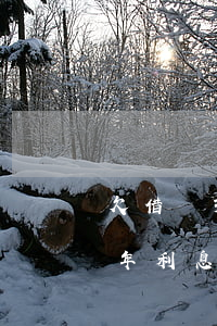 欠借唄30萬月利息多少(借唄貸款30萬一年利息多少)