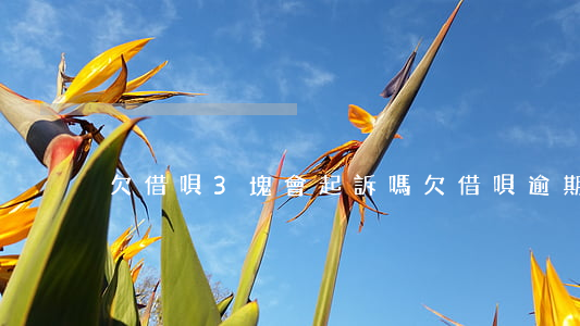 欠借唄3塊會起訴嗎(欠借唄逾期會被起訴嗎)