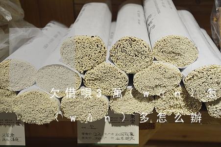 欠借唄3萬(wàn)怎么辦(借唄逾期3萬(wàn)多怎么辦)