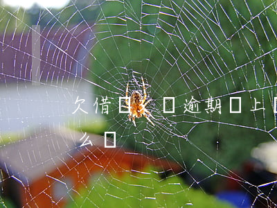 欠借唄3萬逾期會上門嗎(借唄逾期3萬多怎么辦)