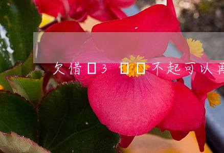 欠借唄3萬還不起可以再分期嗎-