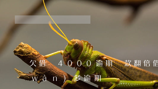 欠借唄4000逾期還款翻倍(借唄欠四萬(wàn)多逾期)