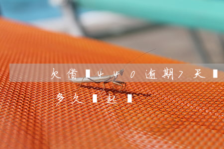 欠借唄440逾期7天會怎樣(借唄逾期4w多久會起訴)